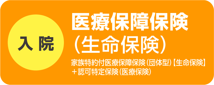 医療保障保険（生命保険）
