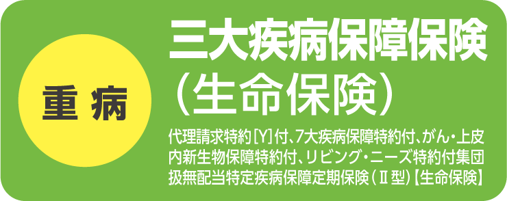 三大疾病保障保険（生命保険）