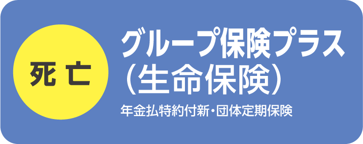 グループ保険プラス（生命保険）