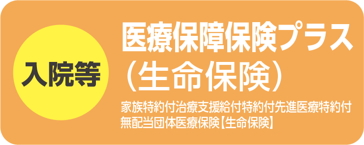医療保障保険プラス（生命保険）